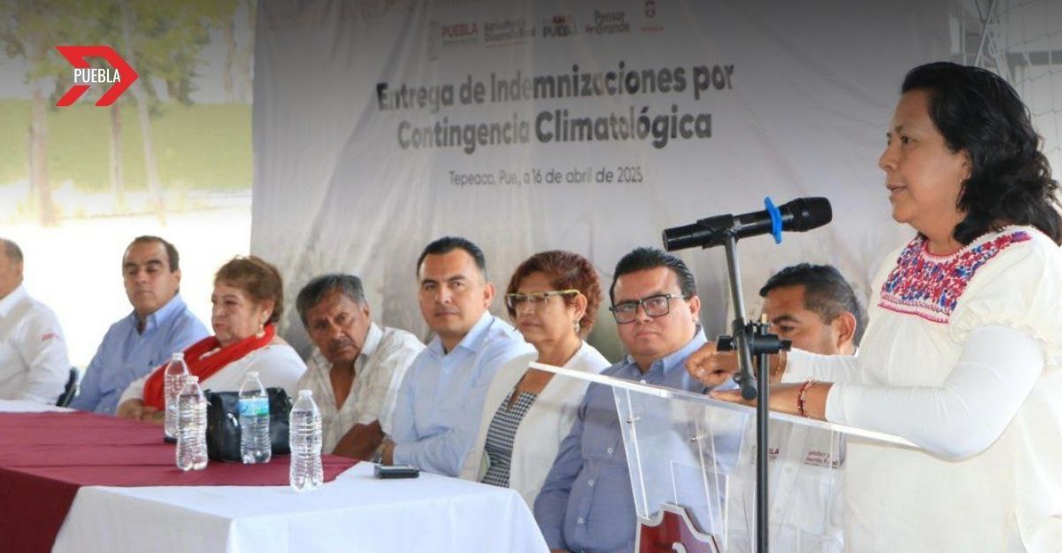 Puebla entrega 7.3 mdp a productores damnificados por frentes fríos
