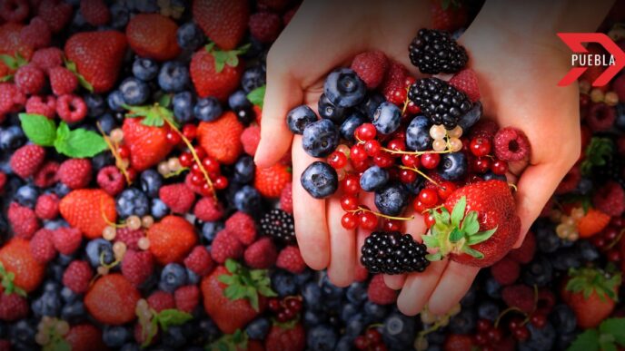 Huejotzingo berries
