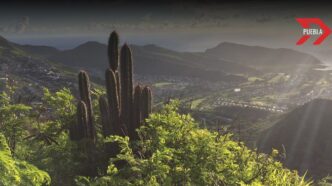 Puebla implementa estrategias para la conservación de áreas forestales