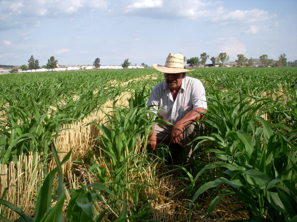 sector agropecuario