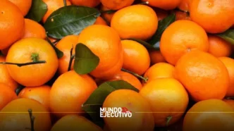 mandarina