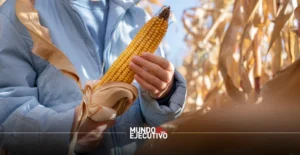 Gobierno de México acuerda apoyo de 950 pesos por tonelada de maíz con productores del Bajío
