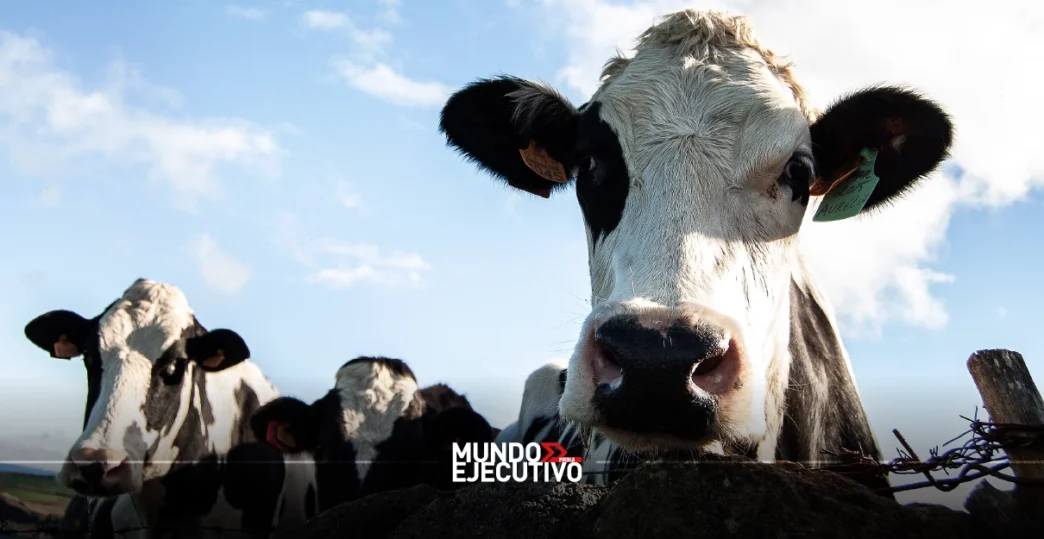 Ganaderos de Texas piden a Trump reabrir la frontera para el ganado mexicano