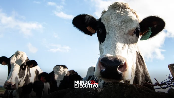 Ganaderos de Texas piden a Trump reabrir la frontera para el ganado mexicano