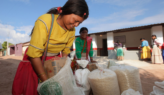 Programa Institucional de Alimentación para el Bienestar