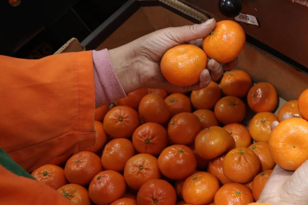 mandarina