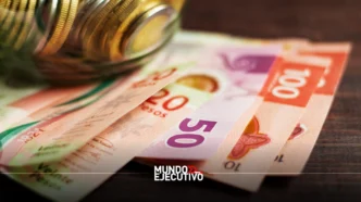 Vector Casa de Bolsa transferirá sus activos a Finamex