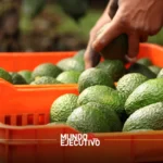 Todo listo para la Feria del Aguacate 2025 en Atlixco