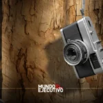 Las primeras cinco fotos finalistas de los Nikon Comedy Wildlife Awards