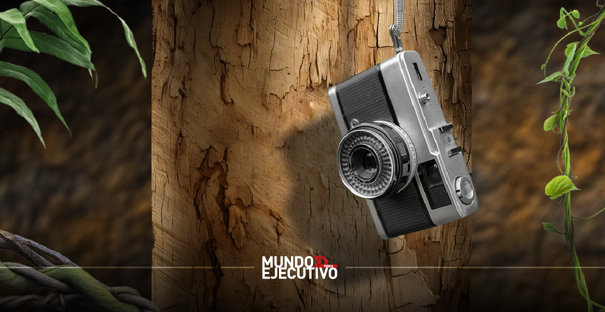 Las primeras cinco fotos finalistas de los Nikon Comedy Wildlife Awards