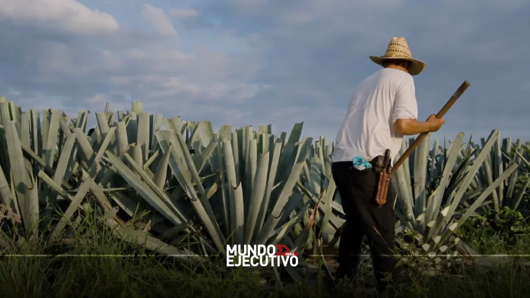 Puebla triunfa en el Concurso Nacional México Selection 2025