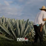 Puebla triunfa en el Concurso Nacional México Selection 2025